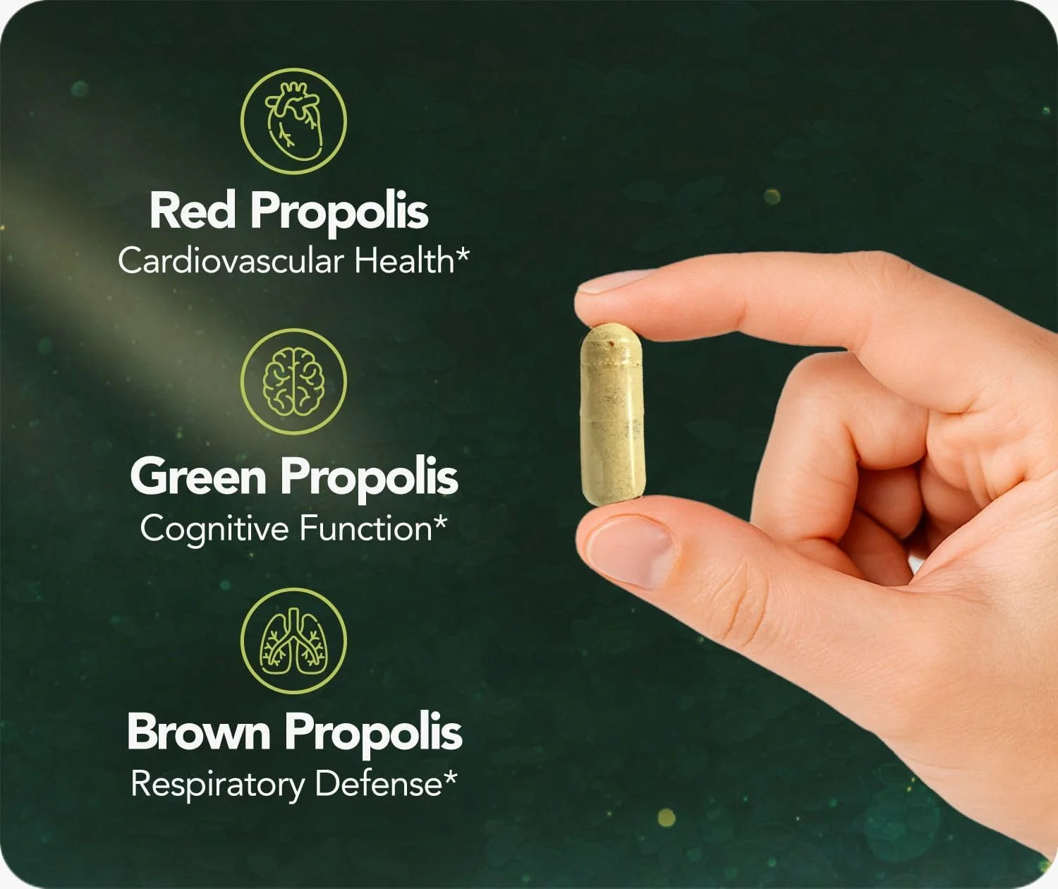 Bee Propolis Ultimate Vegetable Capsules Daily Dietary Supplements, 60 Count