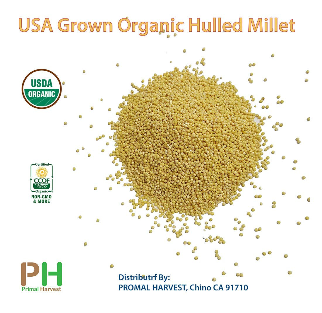 USA Grown Organic Millet, Whole Grain Seeds Non GMO Hulled Gluten Free Bulk Raw