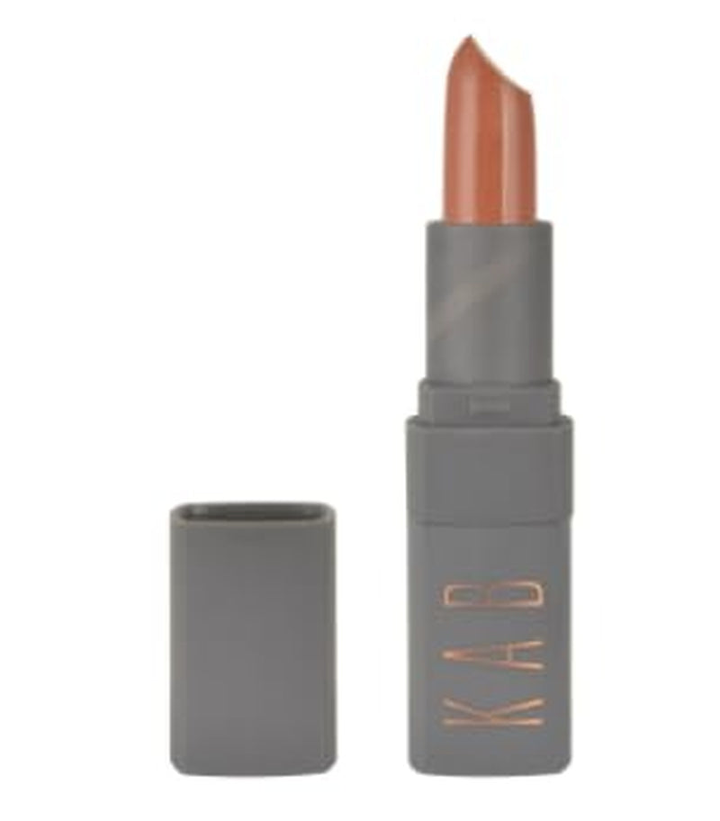 Cosmetics Lip Kit (Just 4U)