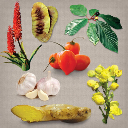’S Intestinal Formula #1 Promotes Regular & Complete Bowel Movements,Improved Elimination, Better Digestion,Herbal Dietary Supplements - 90 Capsules